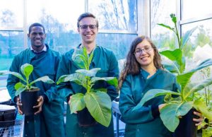 Third breakthrough demonstrates photosynthetic hacks can boost yield conserve water