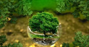 At least 28 extinctions prevented by conservation action in recent decades