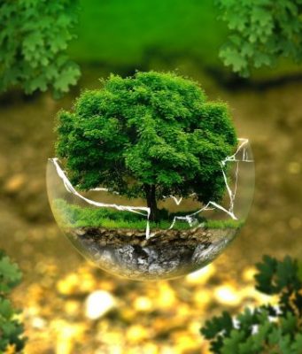 At least 28 extinctions prevented by conservation action in recent decades At least 28 extinctions prevented by conservation action in recent decades