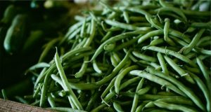 Changing what we eat could offset years of climate warming emissions new analysis finds 2