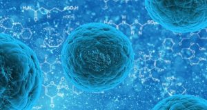 Chemists develop smart cells with potential to treat illness at cellular level