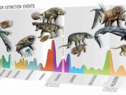 Discovery of a new mass extinction Discovery of a new mass extinction 1