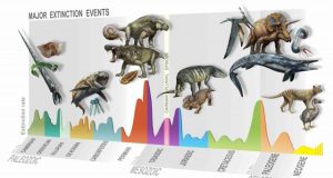 Discovery of a new mass extinction 1