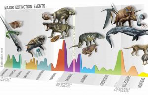 Discovery of a new mass extinction 1