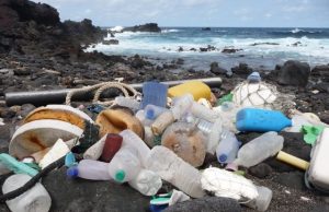 Ecologists sound alarm on plastic pollution 1