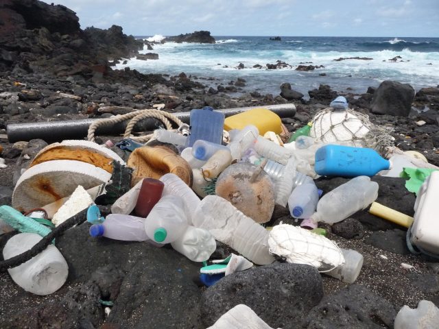 Ecologists sound alarm on plastic pollution 1