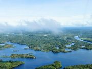 In the Amazon forest degradation is outpacing full deforestation
