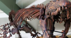 Jaws of deat Paleontologist renames giant prehistoric marine lizard