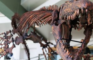 Jaws of deat Paleontologist renames giant prehistoric marine lizard