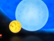METISSE offers new insights into the lives of massive stars