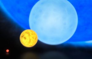 METISSE offers new insights into the lives of massive stars