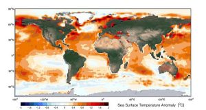 Major wind driven ocean currents are shifting toward the poles
