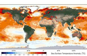 Major wind driven ocean currents are shifting toward the poles