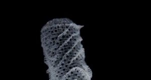 Marine sponges inspire the next generation of skyscrapers and bridges