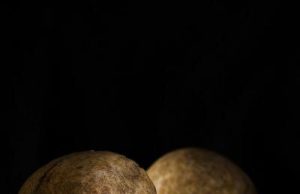 New funerary and ritual behaviors of the Neolithic Iberian populations discovered