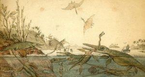New study reveals how reptiles divided up the spoils in ancient seas