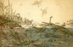 New study reveals how reptiles divided up the spoils in ancient seas New study reveals how reptiles divided up the spoils in ancient seas