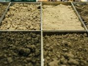 New study reveals that soil is a significant carbon sequestration driver