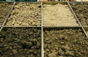 New study reveals that soil is a significant carbon sequestration driver