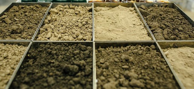 New study reveals that soil is a significant carbon sequestration driver