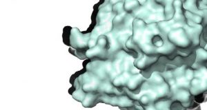 Plastic eating enzyme cocktail heralds new hope for plastic waste