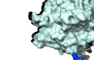 Plastic-eating enzyme ‘cocktail’ heralds new hope for plastic waste Plastic eating enzyme cocktail heralds new hope for plastic waste