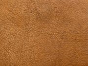 Producing leather like materials from fungi