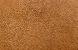 Producing leather like materials from fungi