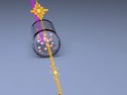 Quantum light squeezes the noise out of microscopy signals