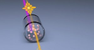 Quantum light squeezes the noise out of microscopy signals