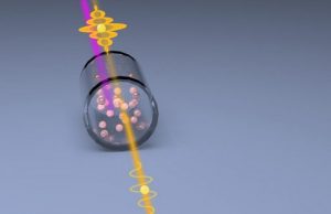 Quantum light squeezes the noise out of microscopy signals