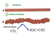 Researchers discover effective pathway to convert carbon dioxide into ethylene