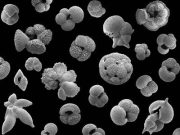 Study analyzes the impact of carbon dioxide on Earths climate 30 million years ago