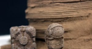 Using chitin a bioinspired material to manufacture tools and shelters on Mars