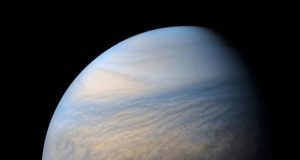 Venus might be habitable today if not for Jupiter
