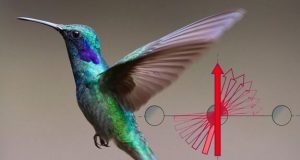 Why different measurements of material properties sometimes give different results