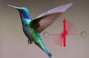 Why different measurements of material properties sometimes give different results