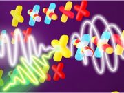 A trillion turns of light nets terahertz polarized bytes 1