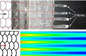 Aerodynamicists reveal link between fish scales and aircraft drag