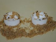 Ants adapt tool use to avoid drowning