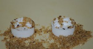 Ants adapt tool use to avoid drowning