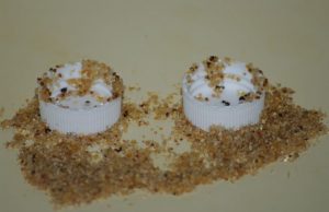 Ants adapt tool use to avoid drowning