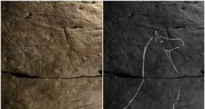 Bison engravings in Spanish caves reveal a common art culture across ancient Europe