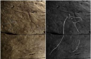 Bison engravings in Spanish caves reveal a common art culture across ancient Europe