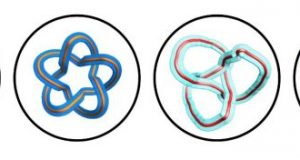 Classified knots Researchers create optical framed knots to encode information