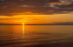 Climate change responsible for record sea temperature levels says study 1