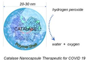 Common antioxidant enzyme may provide potential treatment for COVID 19