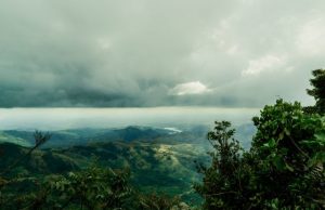 Disproportionate extinction of South American mammals when Americas collided evident today