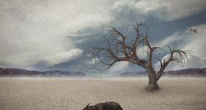 Driver of the largest mass extinction in the history of the Earth identified