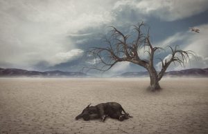 Driver of the largest mass extinction in the history of the Earth identified